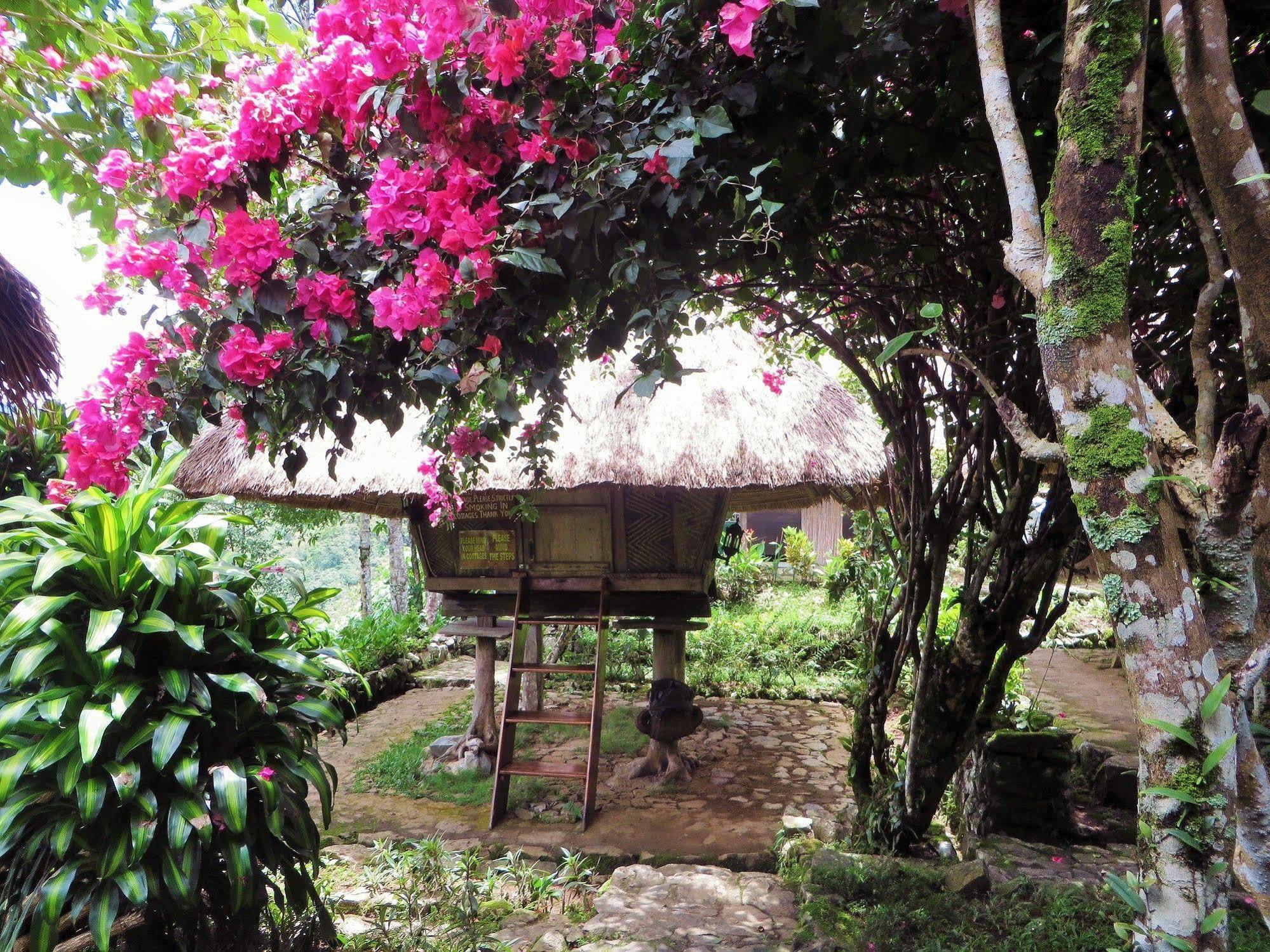 Native Village Inn Banaue Esterno foto