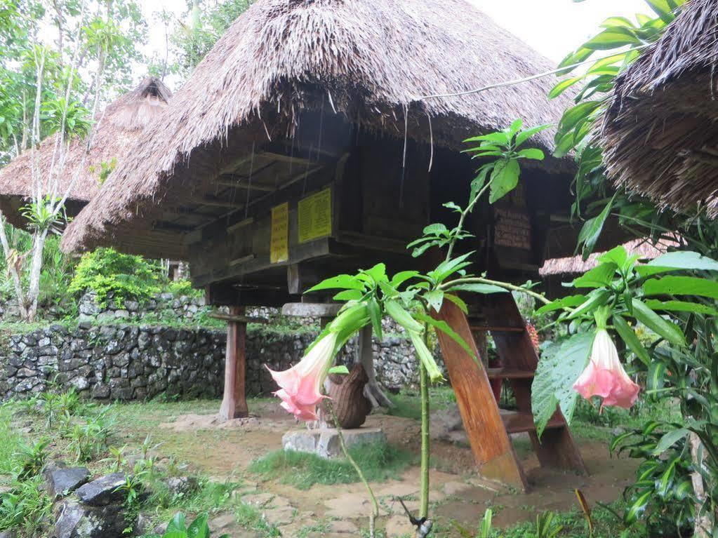 Native Village Inn Banaue Esterno foto